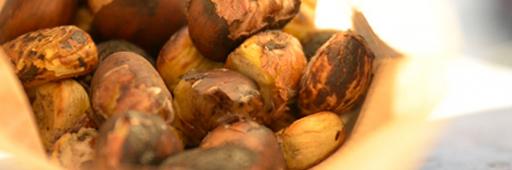 Foie gras du Périgord