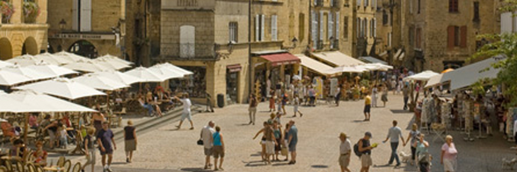 Foie gras du Périgord