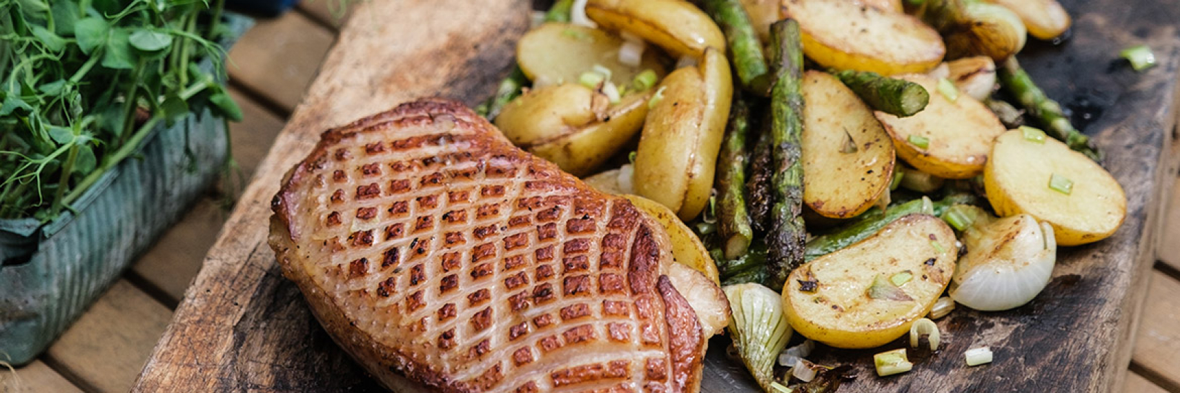 Magret de canard 